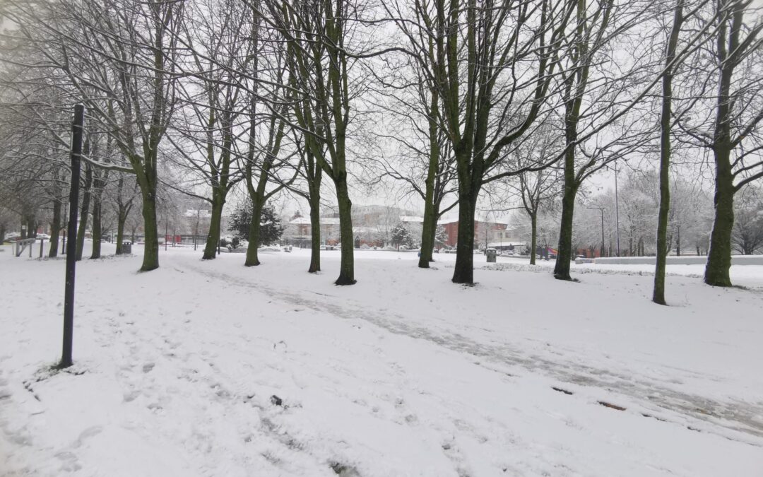 UK Snow: New immigrant family experiences snow for the first time