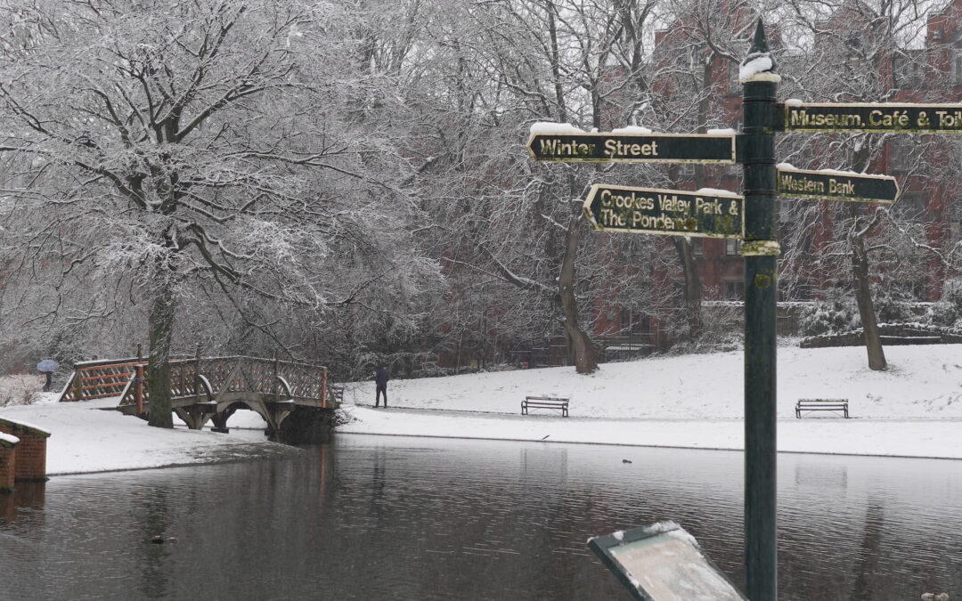 Sheffield Snow Day