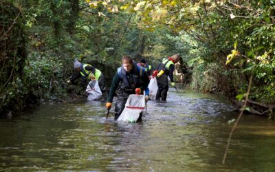 Local experts say more needs to be done after report finds no rivers in England are of good quality