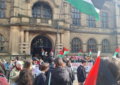 Hundreds gather in support of pro-Palestine petition