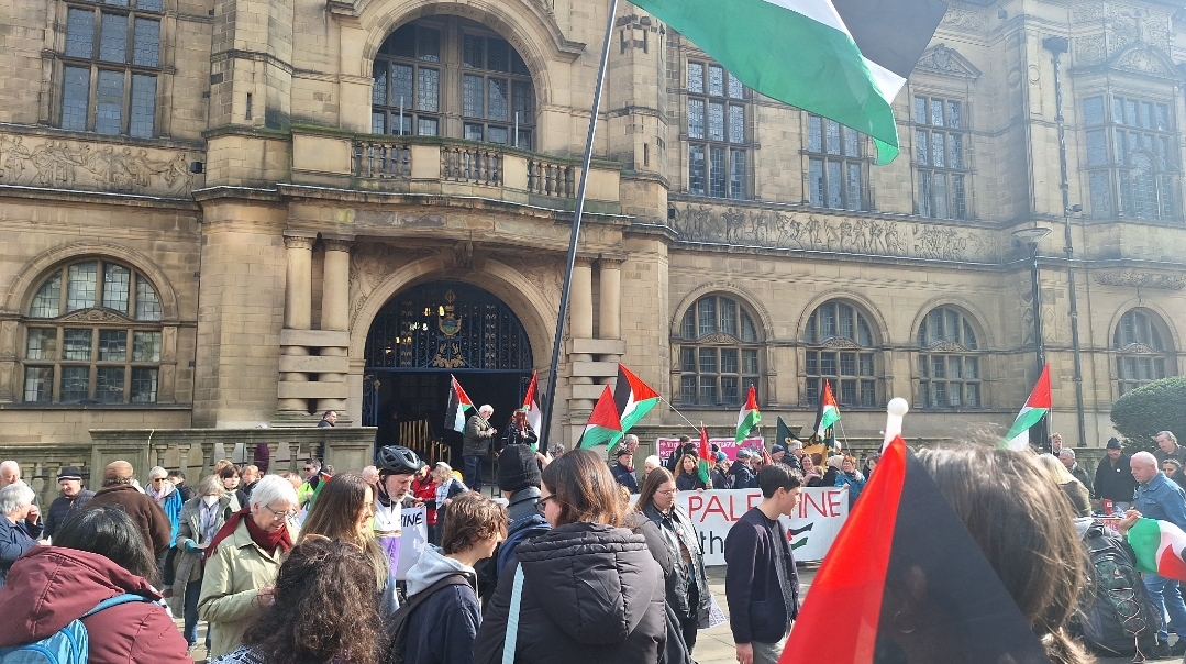 Hundreds gather in support of pro-Palestine petition