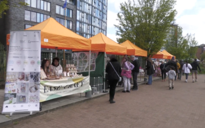 Watch: Sheffield Pollen Market is a great way to “build community”