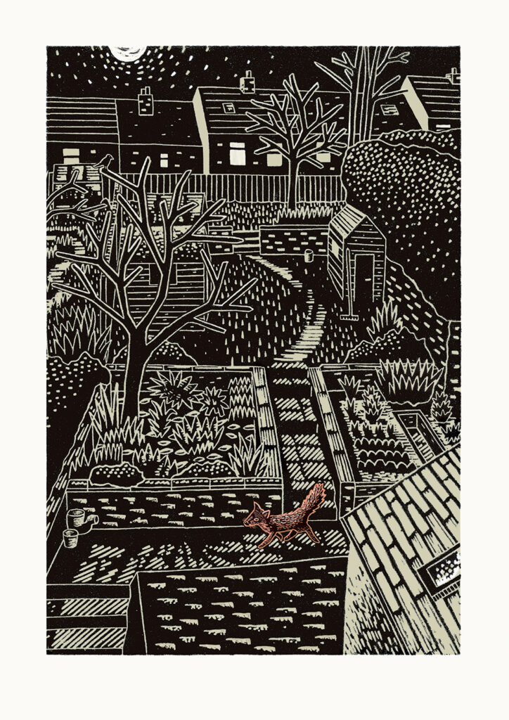 James Green, Midnight Fox, Print