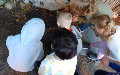 ‘Vile’ closure of Sheffield nursery is leaving 43 children without quality care