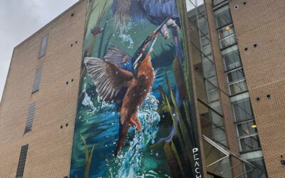 Sheffield street art re-ranked second best in the world