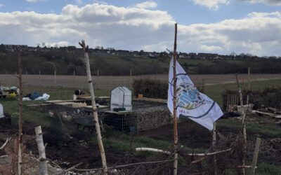 Students team up with environmental group to help transform allotment site