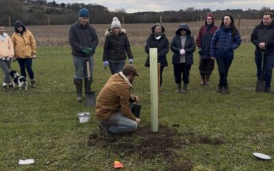 Free orchard planting masterclass for community