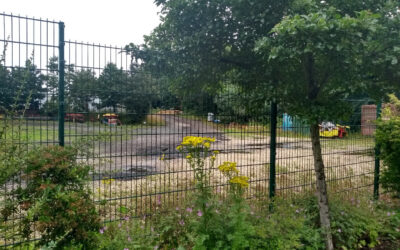 Graves Park volunteers call for relocation of vehicles to Olive Grove