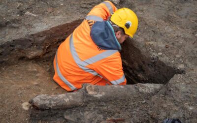 Archaeologists make new discovery at Sheffield Castle site