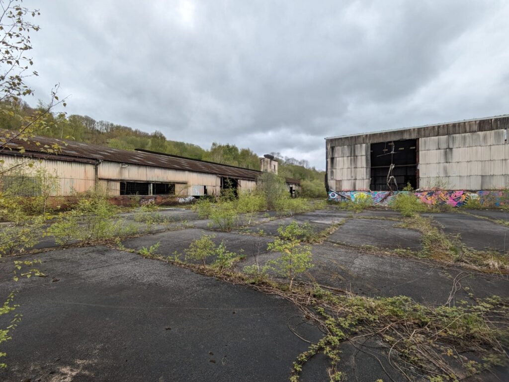 Over grown disused factory