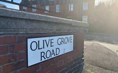 Residents battling rat infestation on Olive Grove Road