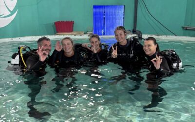 Charity hosts first shark dive to fundraise for breast care appeal