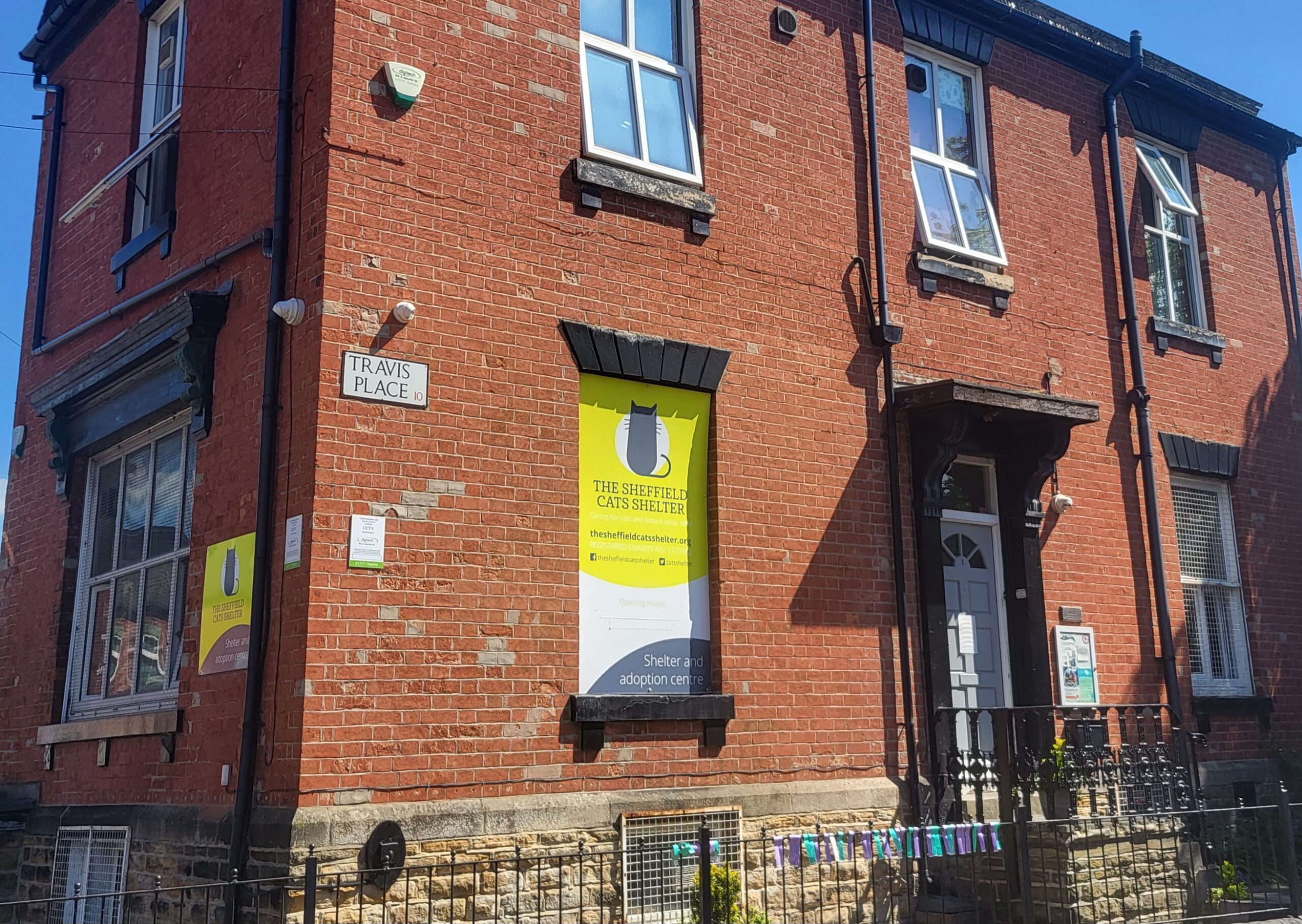 Sheffield Cat Charity Celebrates Its 128th Birthday ShefNews