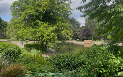 Watch: Sheffield ranked among UK’s most relaxing cities