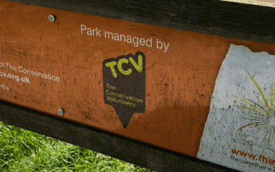 Watch: 4.3 million trees planted as volunteering scheme reaches 10th year