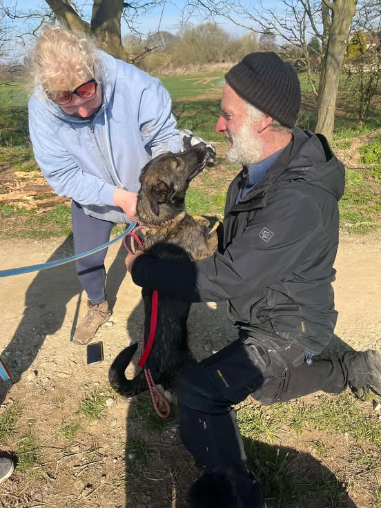 German Shepherd Athena with her owner
