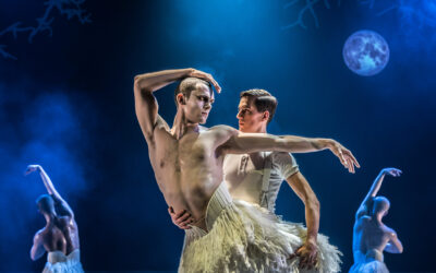 Masculinity and Queer love: Bourne’s Swan Lake stuns Sheffield audiences