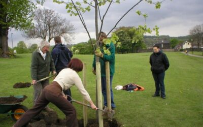 Sheffield Environment Weeks celebrates over 40 years