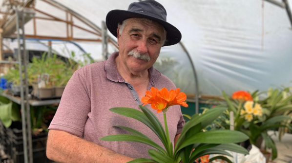 Yorkshire Gardener hopes to win gold in 40th year at Chelsea Flower Show