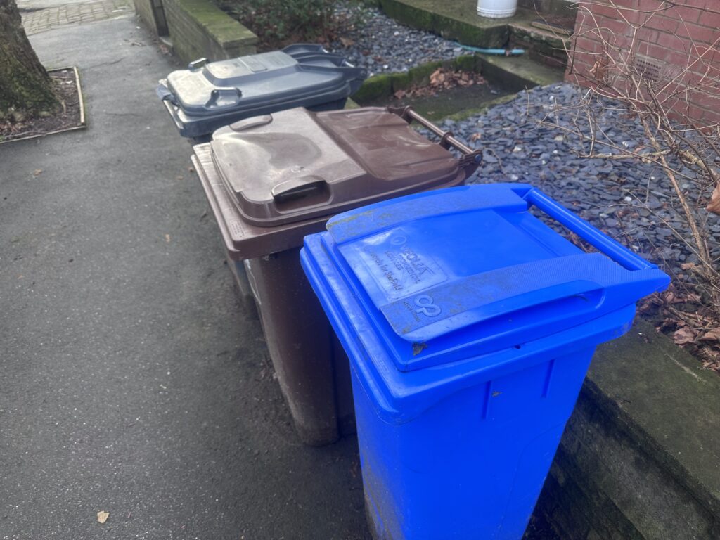 Black, brown and blue wheelie bins next to one another, the blue bin is smaller than the rest.
