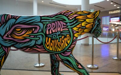 Meadowhall shoppers can watch Pride of Yorkshire lions being painted live