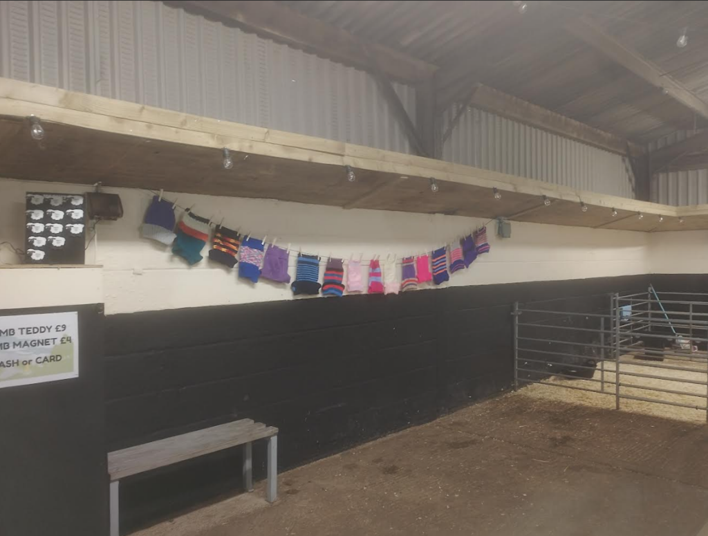 Small jumpers on washing line for lambs