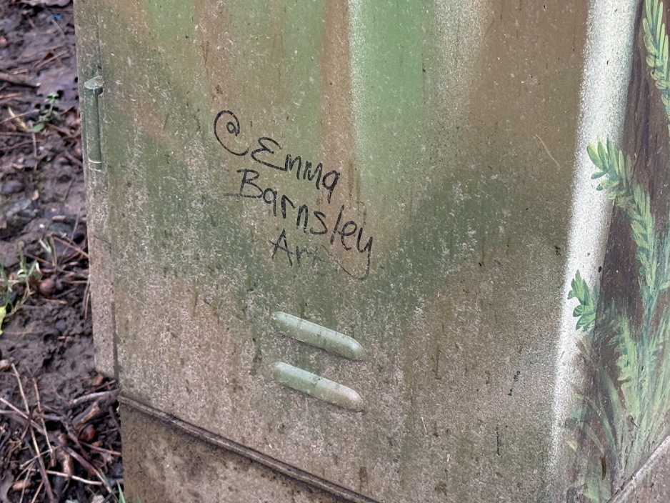 Emma Barnsley's art tag, @emmabarnsleyart on the side of one of the utility boxes she painted.