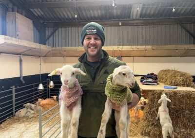 Orphan Lambs are knitted colourful jumpers by Sheffield Communities