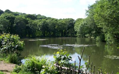 Sky-House applies for £38m planning application as part of new eco-development plan in Peak District