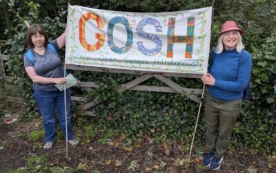 New heritage trail opening in Hillsborough wants to combine Sheffield’s green spaces with its history