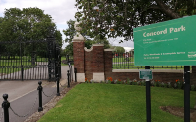 Man arrested after attempted rape in Concord Park