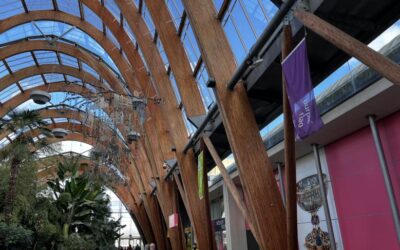 Sheffield reaccredited with a Purple Flag award for 14th consecutive year