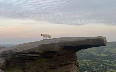 £433k grant launched to support rural communities in South Yorkshire