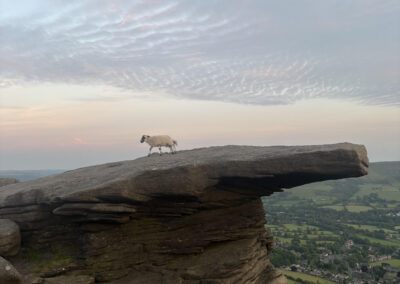 £433k grant launched to support rural communities in South Yorkshire