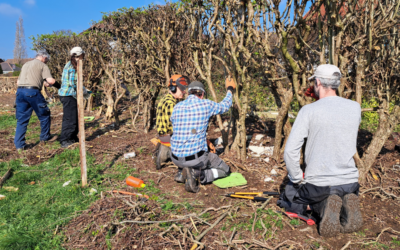 Barnsley council celebrates 10 years of volunteer hedge-laying