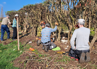 Barnsley council celebrates 10 years of volunteer hedge-laying