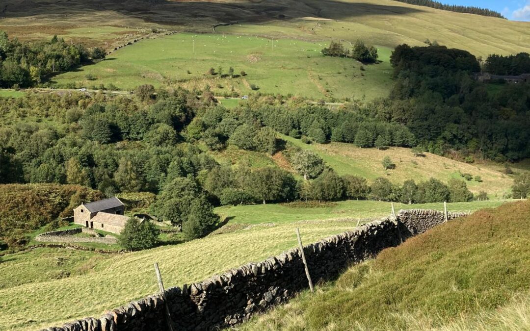 Farm fields making up a hill in the Peak District.