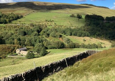 Sheffield to host next year’s Tour de France Femmes stage two finish.