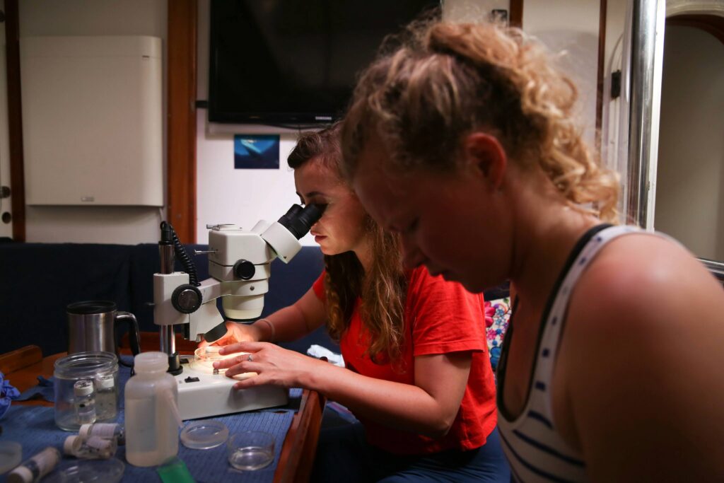 Image from eXXpedition. Image credit: Eleanor Church/ X Trillion Film 