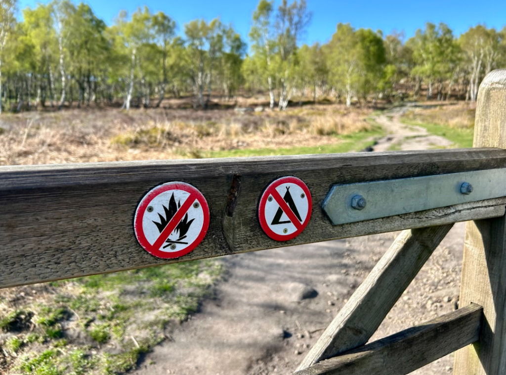 Image Credit - Claire Maxted