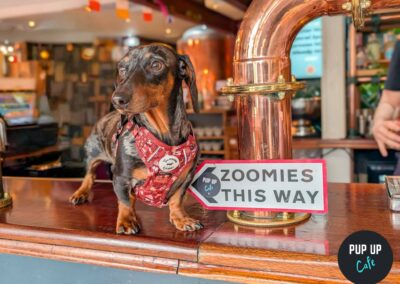 Pup- up cafe has yet again aced an event in Sheffield this weekend