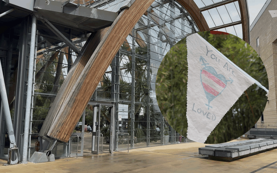 A picture of the exterior of the Sheffield Winter Garden, with an image of bunting imposed on the right that depicts the trans flag and says "You Are Loved"