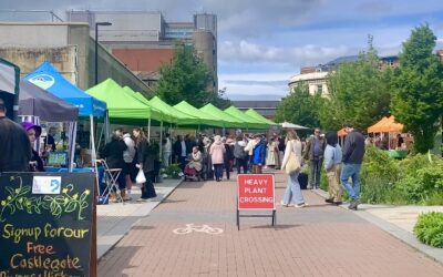 WATCH: Pollen Market traders set to open permanent stores