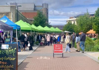 WATCH: Pollen Market traders set to open permanent stores